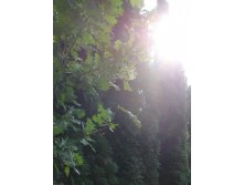 06.09.2008 22:56:46