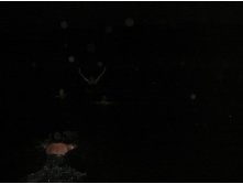 18.07.2010 12:19:51