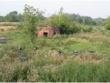 велы