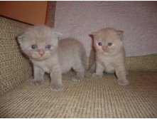 18.07.2010 19:35:15