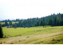 2012-08-21 at 12-21-56.jpg