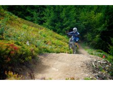 2012-08-21 at 13-09-14.jpg