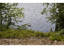 19.07.2010 19:14:31