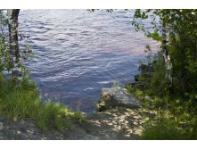 19.07.2010 19:55:34