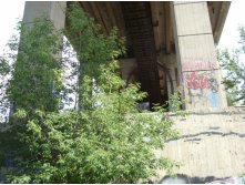 21.07.2010 1:37:33