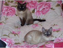  1991  ,  :) ()     ,  2008   ()