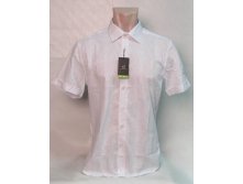 DESIBEL-1308  480 ..jpg