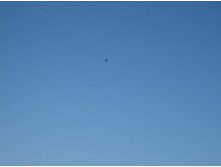 25.07.2010 17:20:14