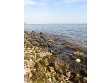 IMG_1904.JPG