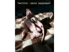 Чистенький.... Слишком...