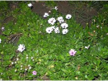 DSCN1582.JPG