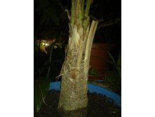 26092011521.jpg