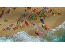 Hawaii Windsurfers