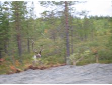 Norge 2011_2942 .jpg