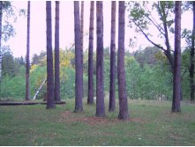 PICT0044.JPG