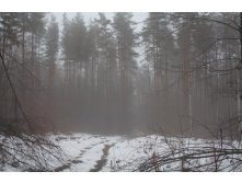 IMG_6538