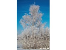 IMG_7844