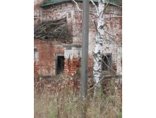 Чек 5. Горицы