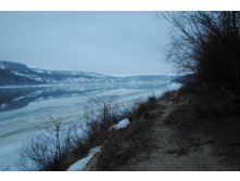 DSC_0035.jpg