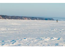_A170163.jpg