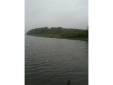 02.jpg