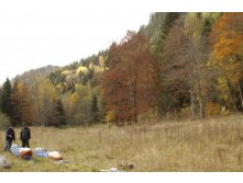 10.11.2008 13:28:56