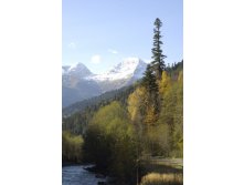 10.11.2008 17:25:18