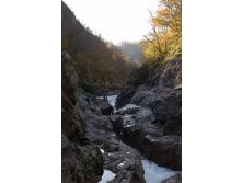 10.11.2008 17:36:38