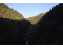 10.11.2008 17:37:41