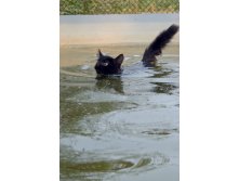 05.08.2010 15:39:06