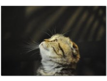 05.08.2010 18:53:01