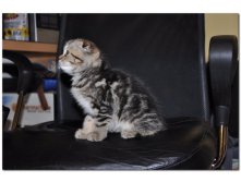 05.08.2010 18:53:55