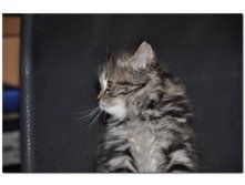 05.08.2010 18:54:02