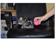 05.08.2010 18:54:03