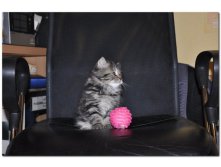 05.08.2010 18:54:07