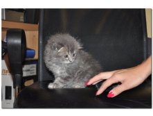 05.08.2010 18:54:13
