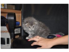 05.08.2010 18:54:14