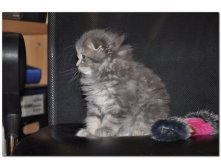 05.08.2010 18:54:45