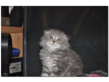 05.08.2010 18:54:47