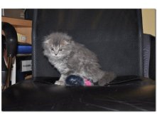 05.08.2010 18:54:55