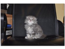05.08.2010 18:54:59
