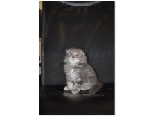 05.08.2010 18:55:00