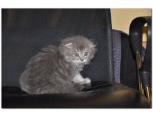 05.08.2010 18:55:04