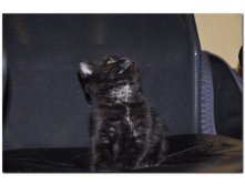 05.08.2010 18:55:31