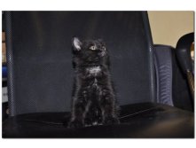 05.08.2010 18:55:36