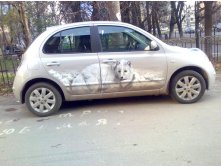 Полный Песец