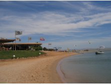 .  2008
