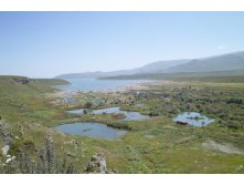 Самое начало водохранилища. Болота