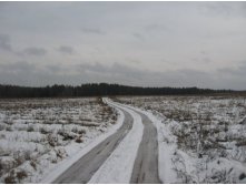 Дорожка
