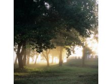 14.08.2010 16:18:31